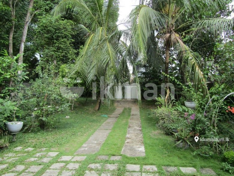 Valuable Property For Sale In Gampaha Miriswatta