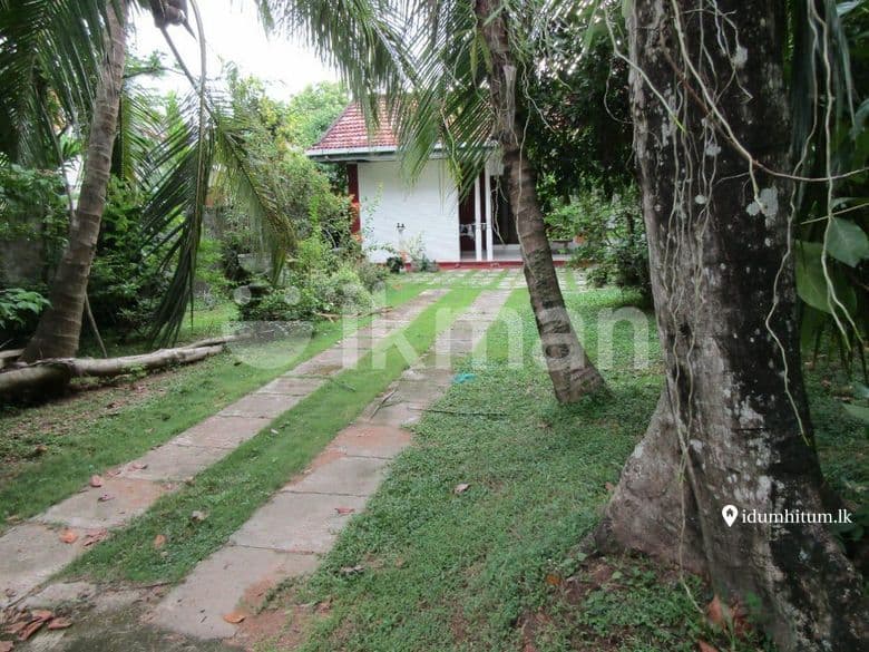 Valuable Property For Sale In Gampaha Miriswatta - Thumbnail 2