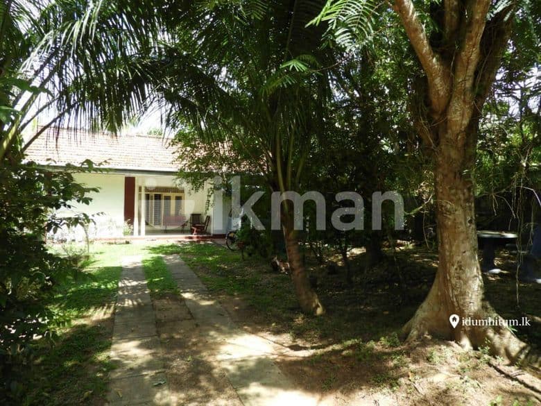 Valuable Property For Sale In Gampaha Miriswatta - Thumbnail 5